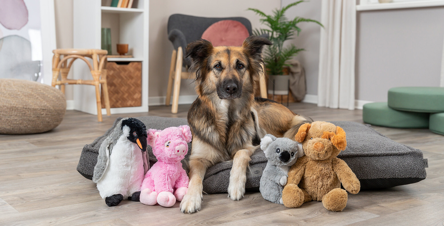 Kinderspeelgoed Winkel 1 Kinderspeelgoed Winkel -Kinderspeelgoed Winkel 1